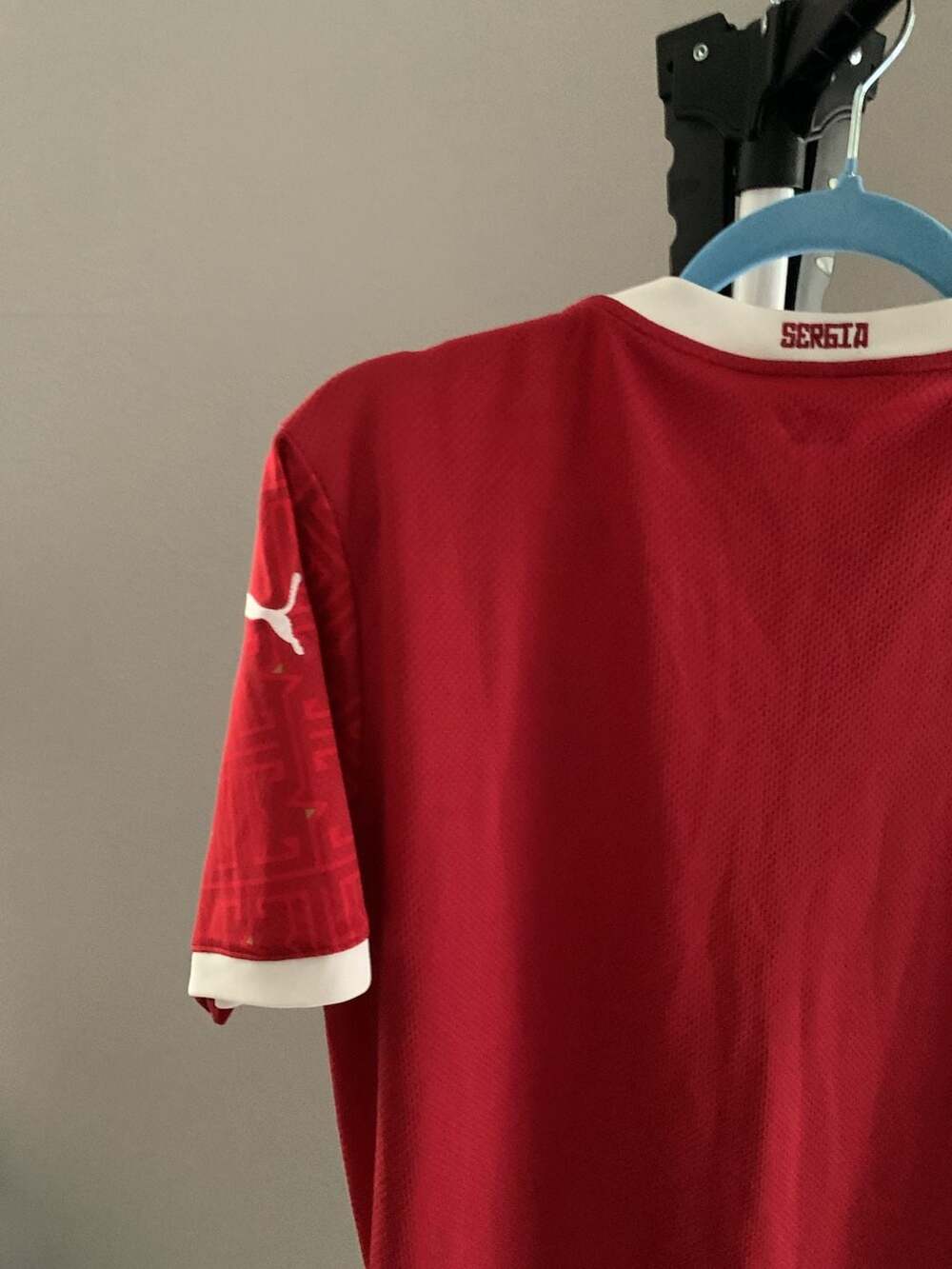 Puma Serbia 2020-2021 Men's Home Soccer Jersey - Picture 7 of 9